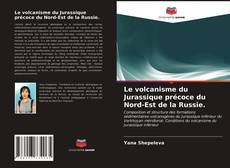 Buchcover von Le volcanisme du Jurassique précoce du Nord-Est de la Russie.