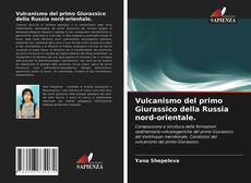 Bookcover of Vulcanismo del primo Giurassico della Russia nord-orientale.