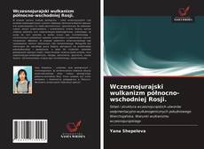 Bookcover of Wczesnojurajski wulkanizm północno-wschodniej Rosji.