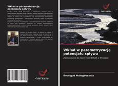 Bookcover of Wkład w parametryzację potencjału spływu