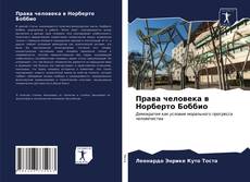 Portada del libro de Права человека в Норберто Боббио