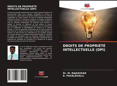 Bookcover of DROITS DE PROPRIÉTÉ INTELLECTUELLE (DPI)