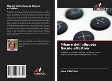 Misure dell'aliquota fiscale effettiva kitap kapağı