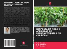 Borítókép a  RESPOSTA DA PODA E APLICAÇÃO DE MICRONUTRIENTES EM CAPSICUM - hoz