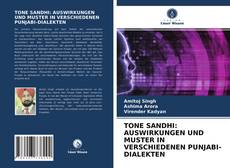 Buchcover von TONE SANDHI: AUSWIRKUNGEN UND MUSTER IN VERSCHIEDENEN PUNJABI-DIALEKTEN