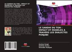 Capa do livro de LE SANDHI DU TON : IMPACT ET MODÈLES À TRAVERS LES DIALECTES PUNJABI 