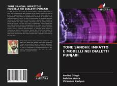 Capa do livro de TONE SANDHI: IMPATTO E MODELLI NEI DIALETTI PUNJABI 