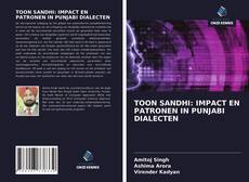 Couverture de TOON SANDHI: IMPACT EN PATRONEN IN PUNJABI DIALECTEN