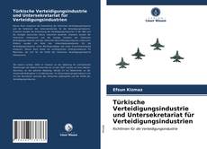 Buchcover von Türkische Verteidigungsindustrie und Untersekretariat für Verteidigungsindustrien