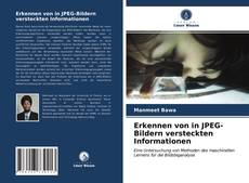 Buchcover von Erkennen von in JPEG-Bildern versteckten Informationen