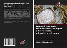 Capa do livro de Determinanti della resilienza delle famiglie all'insicurezza alimentare in Etiopia 