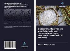 Couverture de Determinanten van de weerbaarheid van huishoudens tegen voedselonzekerheid in Ethiopië