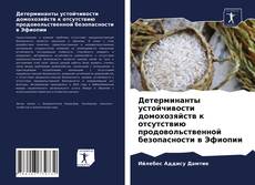 Обложка Детерминанты устойчивости домохозяйств к отсутствию продовольственной безопасности в Эфиопии