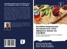 Bookcover of Антибактериальная активностьin vitro эфирных масел из шалфея