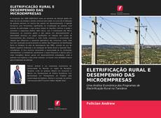 Borítókép a  ELETRIFICAÇÃO RURAL E DESEMPENHO DAS MICROEMPRESAS - hoz