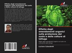 Portada del libro de Effetto degli emendamenti organici sulla protezione del suolo e delle colture di lattuga