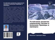 Bookcover of Устойчивое развитие управления лесами и океанами Примеры и проверка