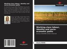 Capa do livro de Working-class labour, identity and socio-economic paths 