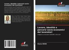 Portada del libro de Lavoro, identità e percorsi socio-economici dei lavoratori