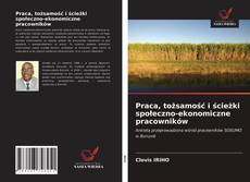 Bookcover of Praca, tożsamość i ścieżki społeczno-ekonomiczne pracowników