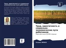 Труд, идентичность и социально-экономические пути работников的封面