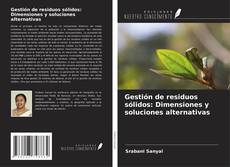 Gestión de residuos sólidos: Dimensiones y soluciones alternativas kitap kapağı