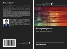 Buchcover von Esteganografía