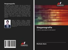 Bookcover of Steganografia