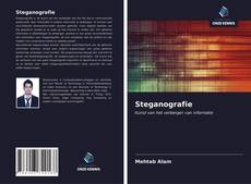 Bookcover of Steganografie