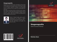 Bookcover of Steganografia