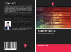 Borítókép a  Esteganografia - hoz