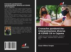 Bookcover of Cronache pandemiche: interpretazione diversa di COVID 19 in Cajama