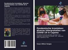 Bookcover of Pandemische kronieken: diverse interpretaties van COVID 19 in Cajama