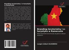 Bookcover of Branding terytorialny i e-turystyka w Kamerunie