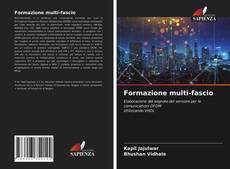 Capa do livro de Formazione multi-fascio 