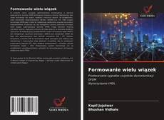 Bookcover of Formowanie wielu wiązek