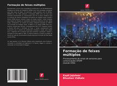 Couverture de Formação de feixes múltiplos