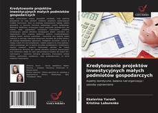 Bookcover of Kredytowanie projektów inwestycyjnych małych podmiotów gospodarczych