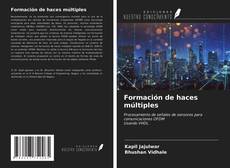 Formación de haces múltiples的封面