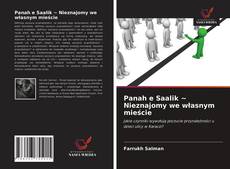 Capa do livro de Panah e Saalik ~ Nieznajomy we własnym mieście 