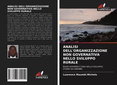 Portada del libro de ANALISI DELL'ORGANIZZAZIONE NON GOVERNATIVA NELLO SVILUPPO RURALE