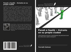 Bookcover of Panah e Saalik ~ Extraño en su propia ciudad