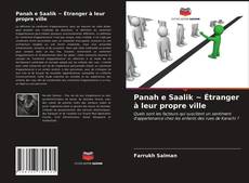 Panah e Saalik ~ Étranger à leur propre ville kitap kapağı