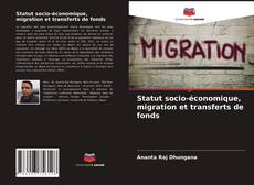 Buchcover von Statut socio-économique, migration et transferts de fonds