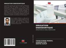 Bookcover of IRRIGATION ENDODONTIQUE