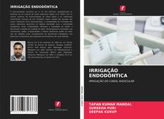 Portada del libro de IRRIGAÇÃO ENDODÔNTICA