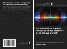 Bookcover of Características tonales laríngeas de los dialectos de la lengua punjabi