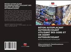 BÉTON AUTOPLAÇANT AUTODURCISSANT UTILISANT DES GGBS ET UN AGENT AUTODURCISSANT的封面