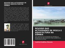 Bookcover of REVISÃO DAS ACTIVIDADES DE PESCA E AQUICULTURA NA ZÂMBIA