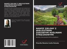 Bookcover of NAWÓZ ZIELONY Z WIELOLETNIMI ZIOŁOWYMI ROŚLINAMI STRĄCZKOWYMI